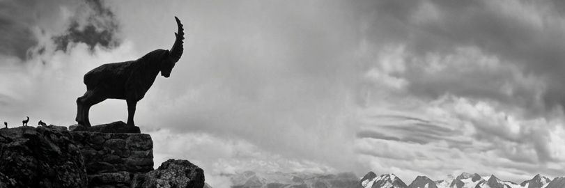 omd_kmgr's profile banner image
