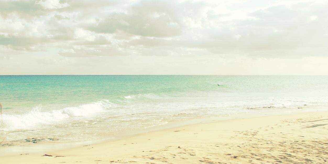 lulibidevich's profile banner image