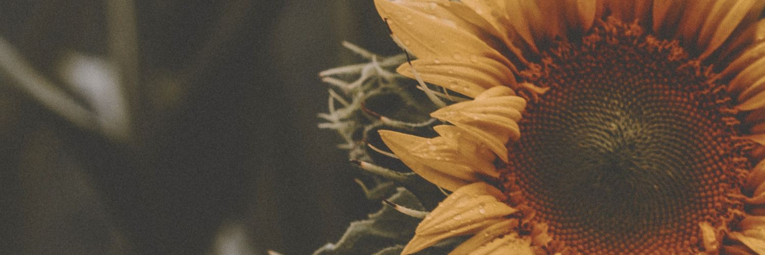 ThisIsMorie's profile banner image