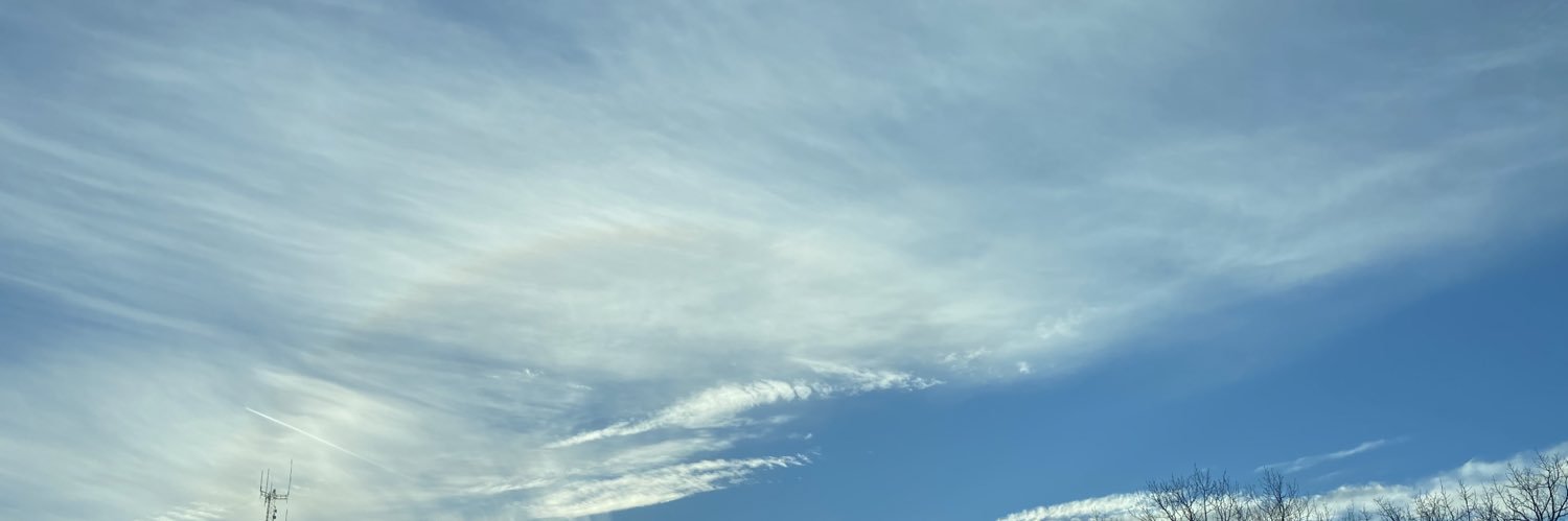 blondieforkeeps's profile banner image