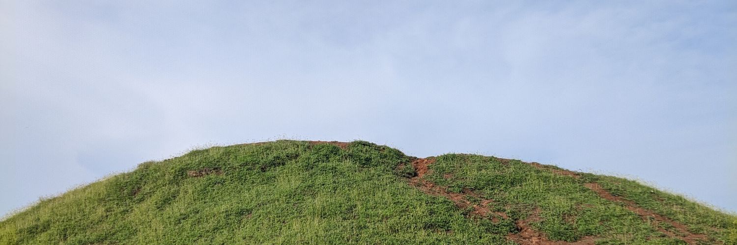 aguspree's profile banner image