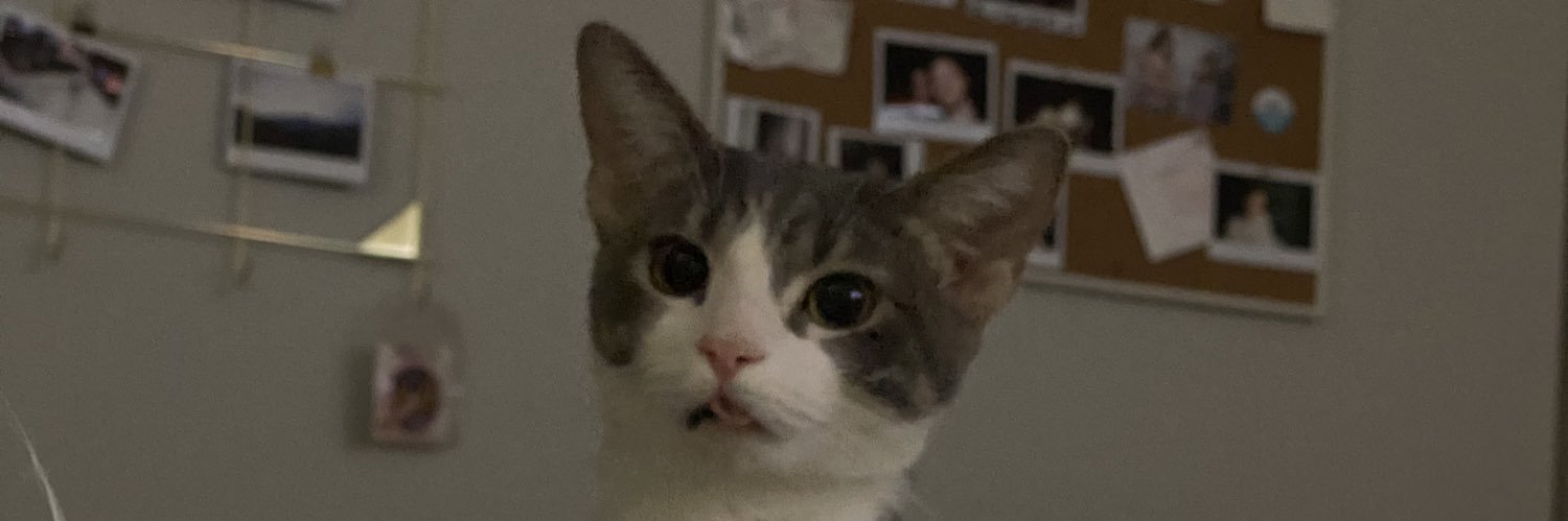 MadddiRenee's profile banner image