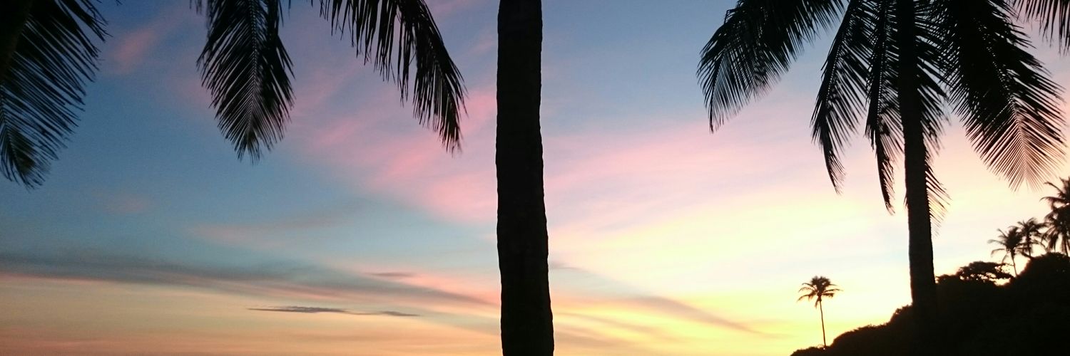 maurocampora's profile banner image