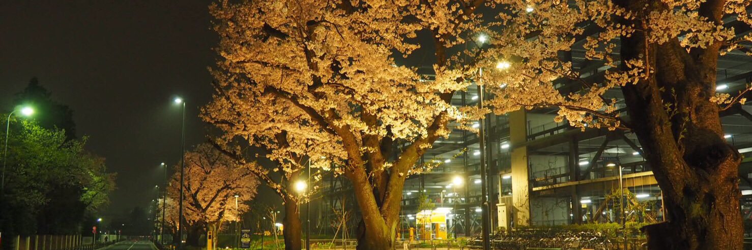 yokkun18's profile banner image