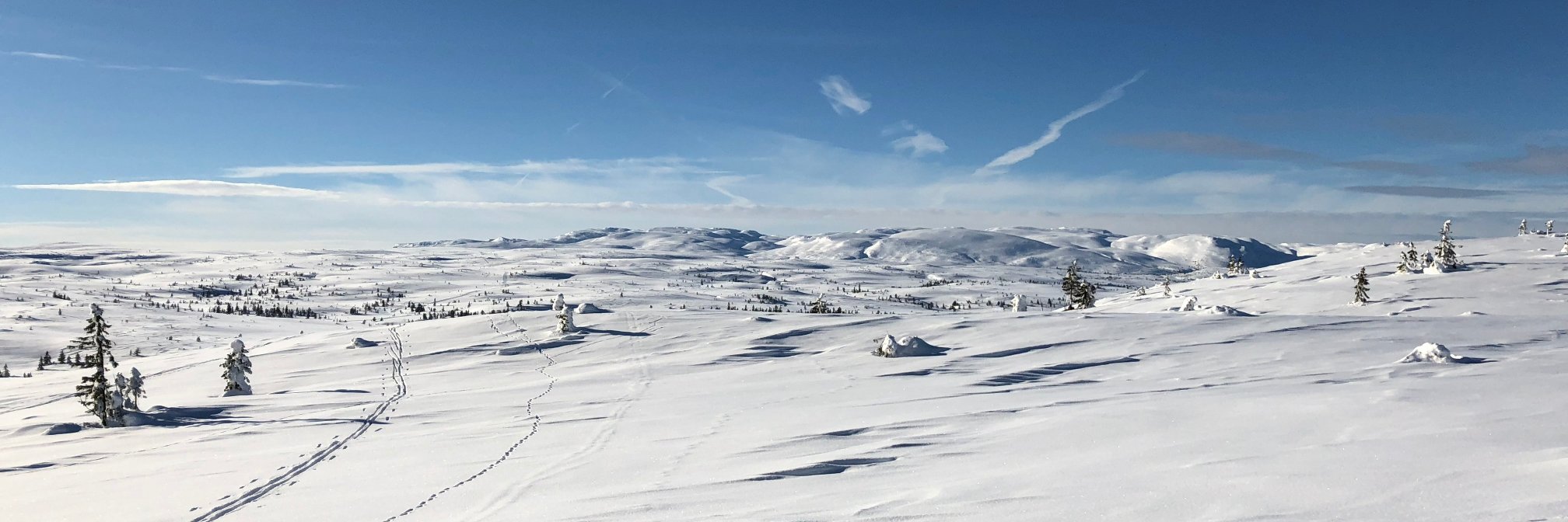 Jan Vidar Elven 🏳️‍🌈🕊☮️🇳🇴🇺🇦 banner