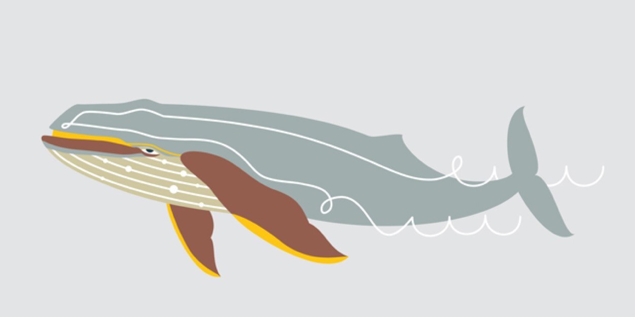 ModeratoMistico's profile banner image
