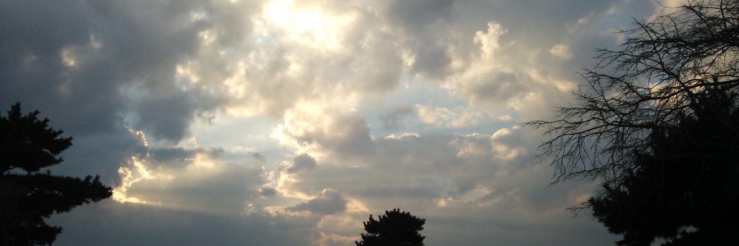 sherdie's profile banner image