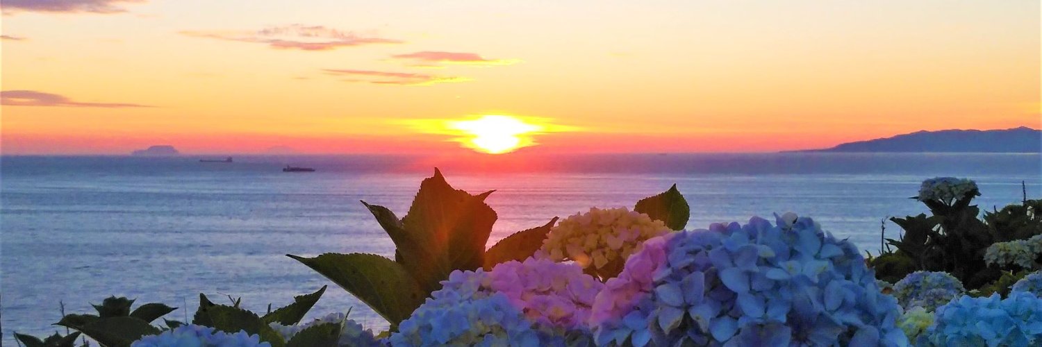 tappikankou's profile banner image