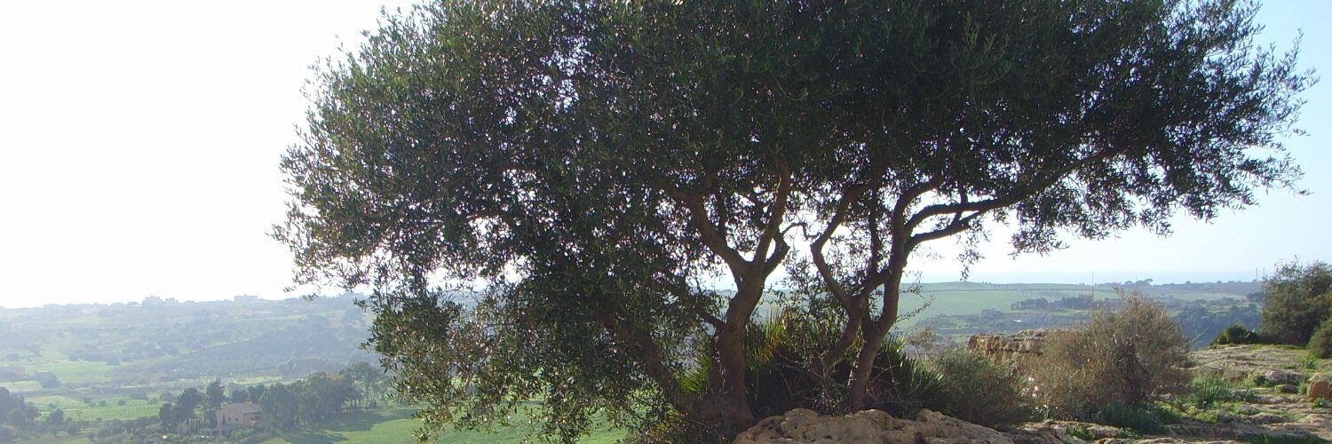 bartlvries's profile banner image