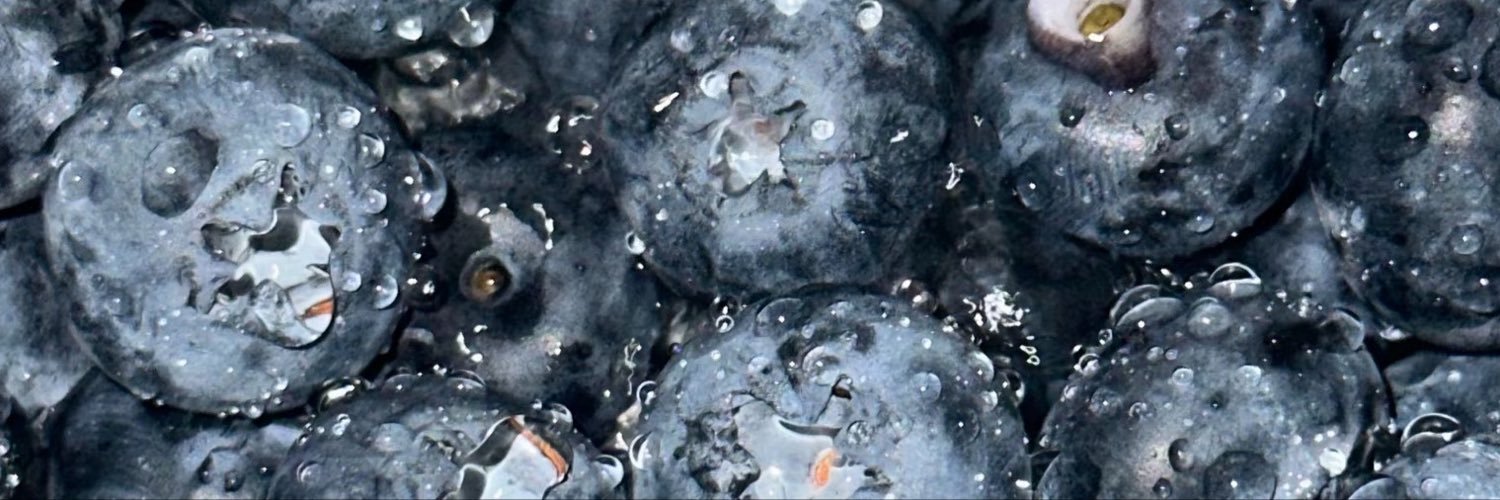 bvb1030_'s profile banner image