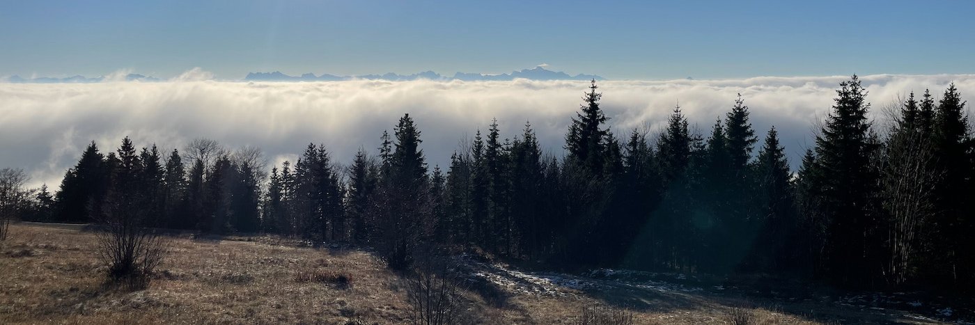 deschoux's profile banner image
