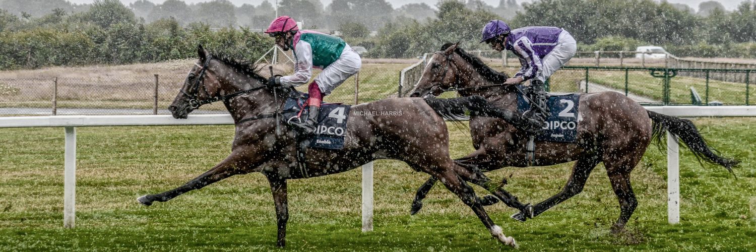 GeorgeWilding's profile banner image
