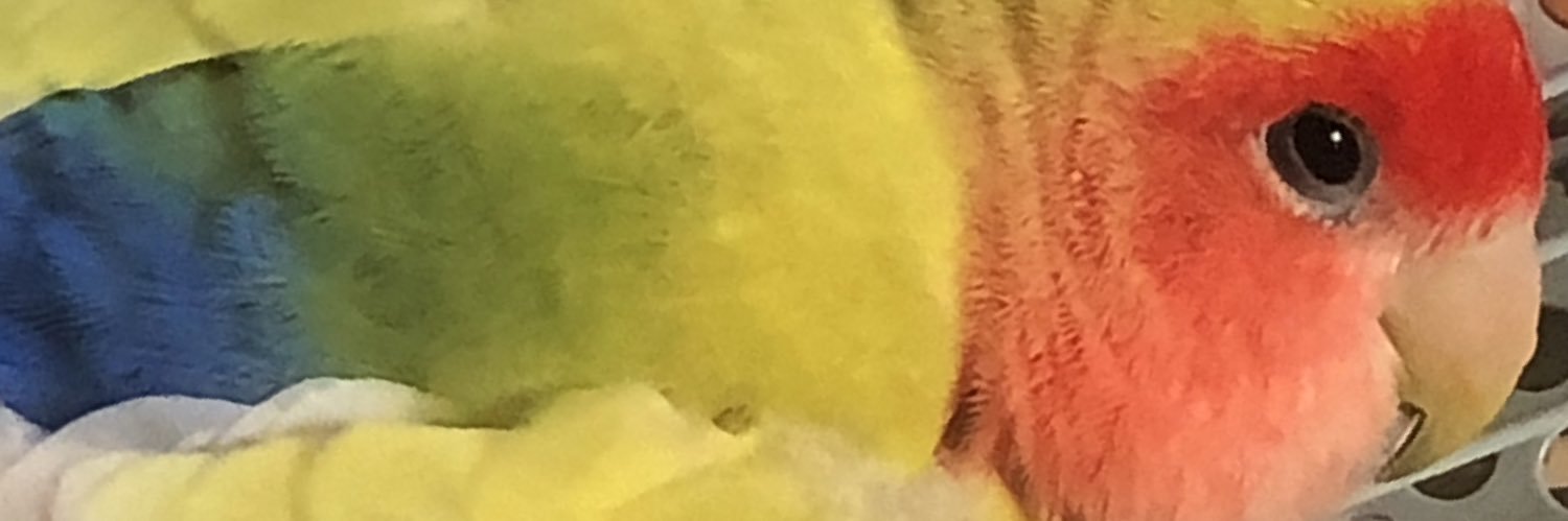 587copen5's profile banner image