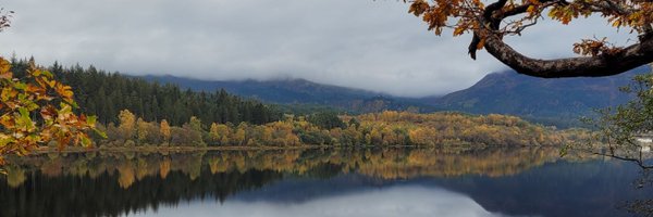 Ruth0liver Profile Banner