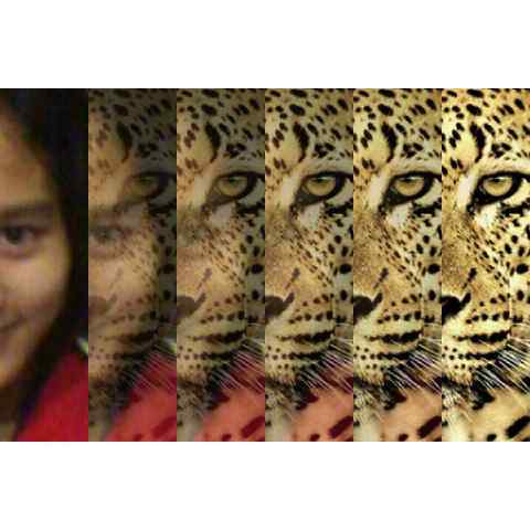 intanafirus's profile banner image
