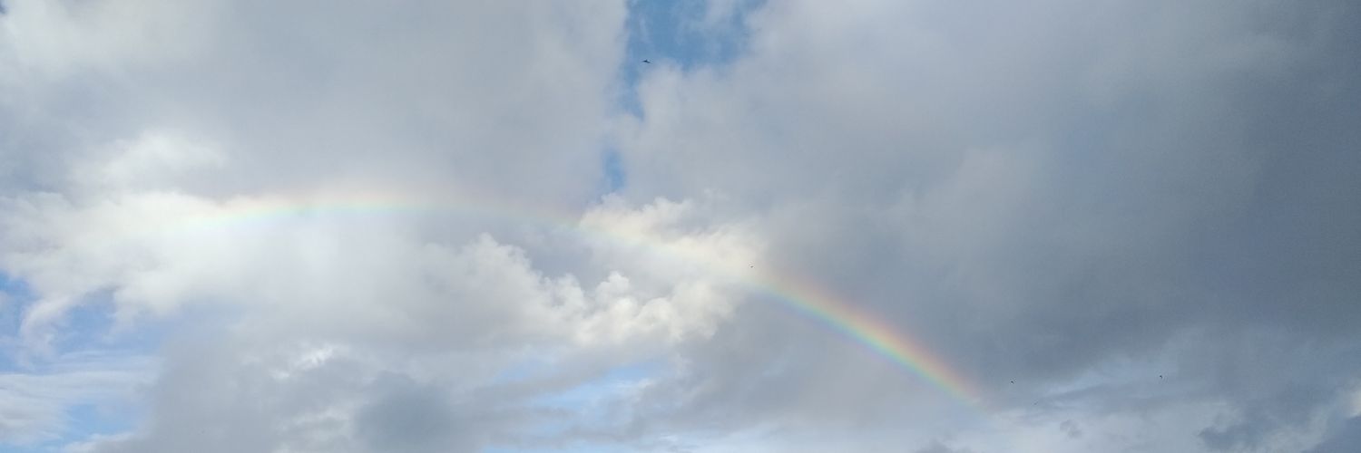 Tofatofi's profile banner image