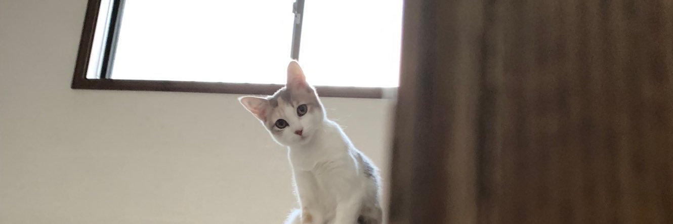 ちゃみ🐾英語学習 banner