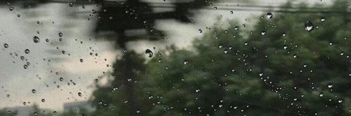 neothesardine's profile banner image