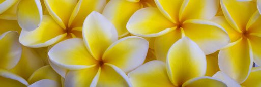 javaphillee's profile banner image