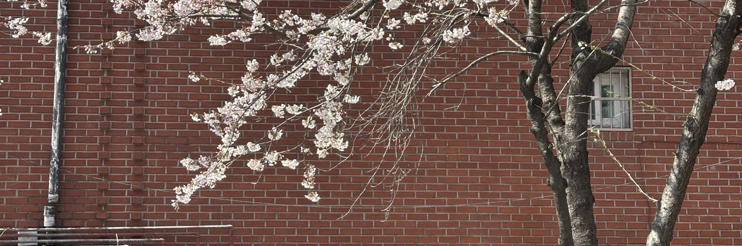 mejustmind's profile banner image