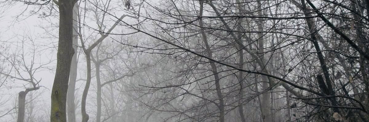 02279's profile banner image