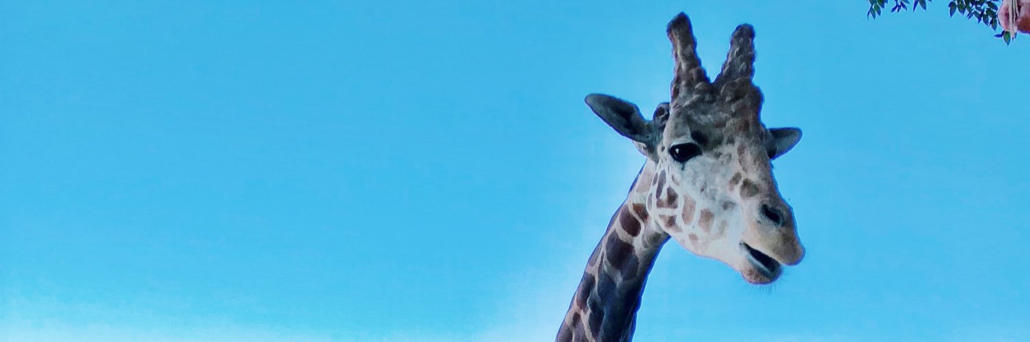 alyssUGH's profile banner image