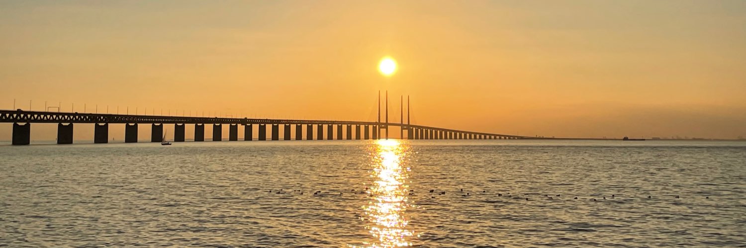 Michel Verhaeghe banner