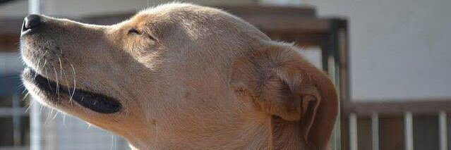 oudomcum's profile banner image