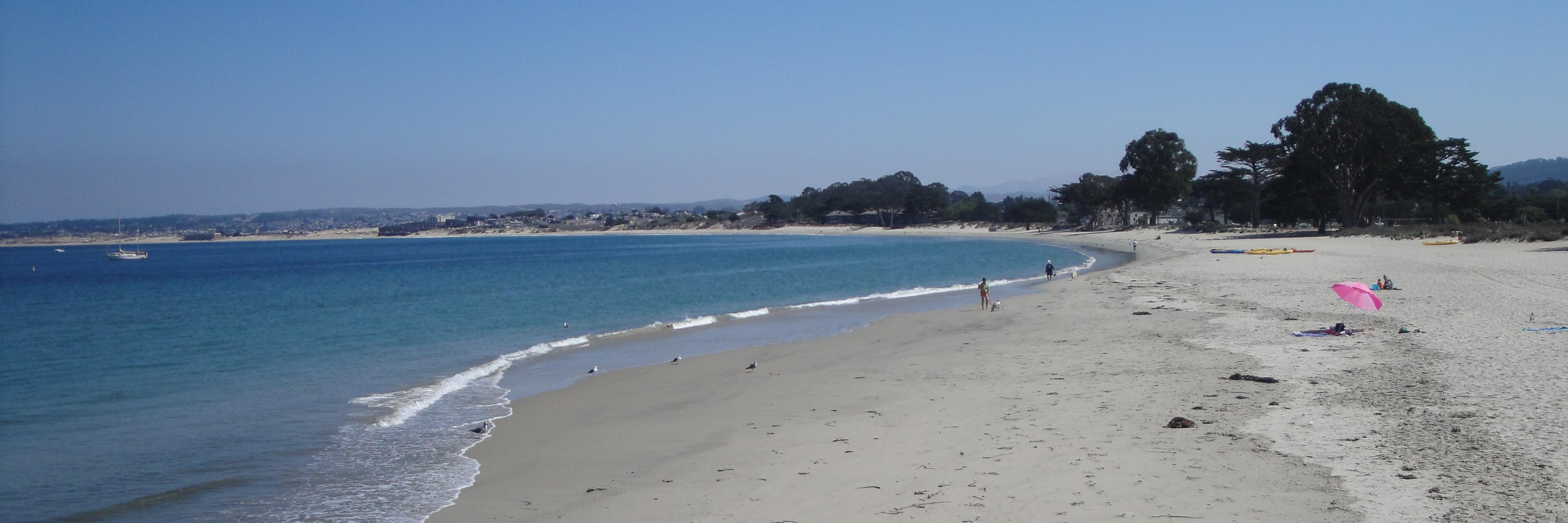 Ruth Addicott banner