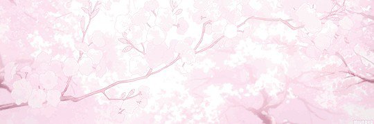 Anna_vta's profile banner image
