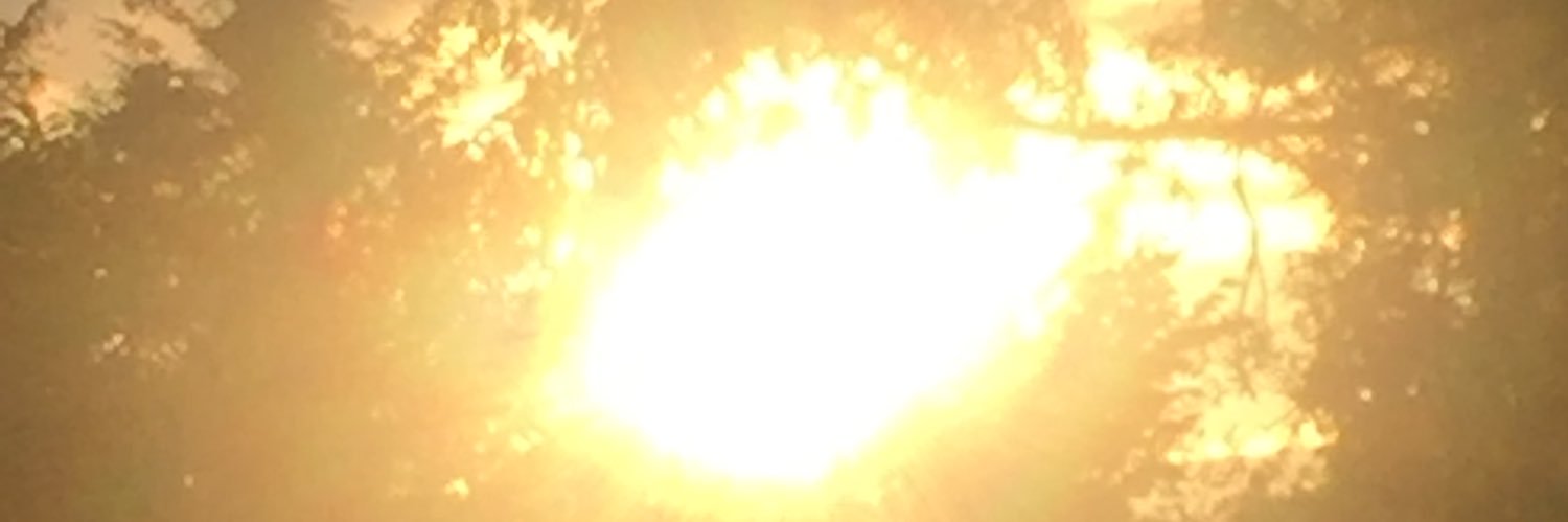 Siobhanmod's profile banner image