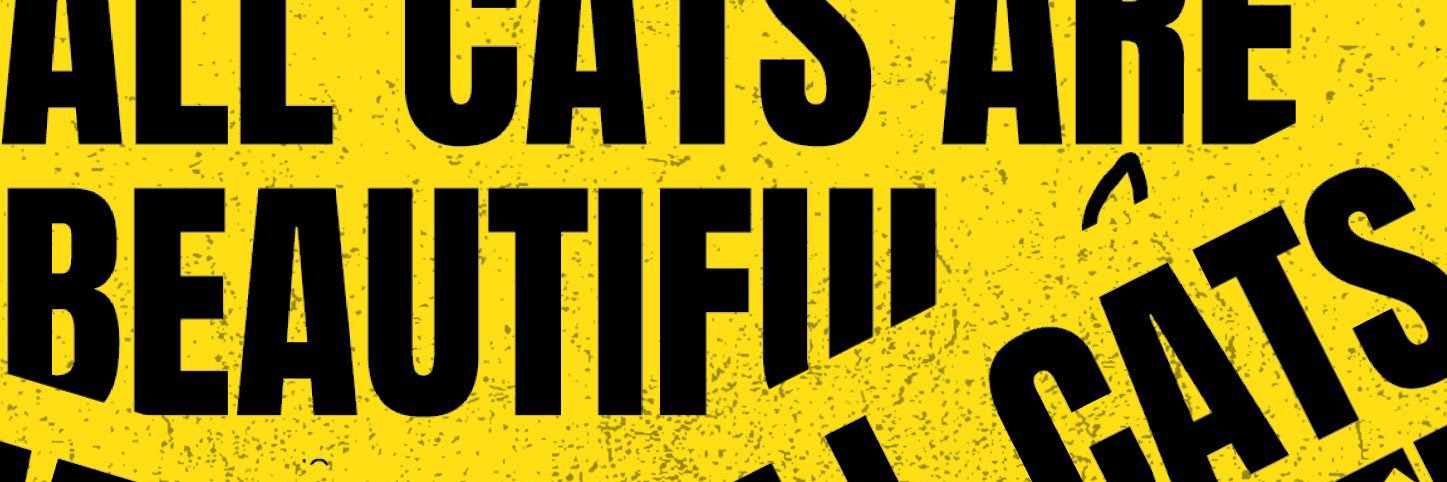 bigalluh88's profile banner image