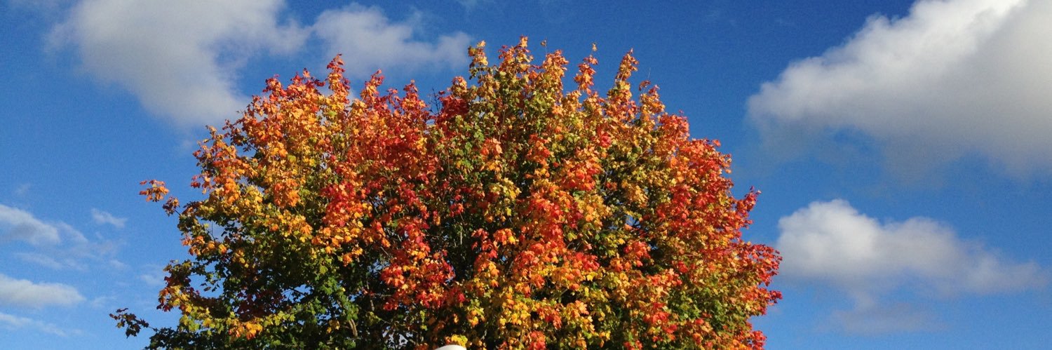 Krister Renaud banner