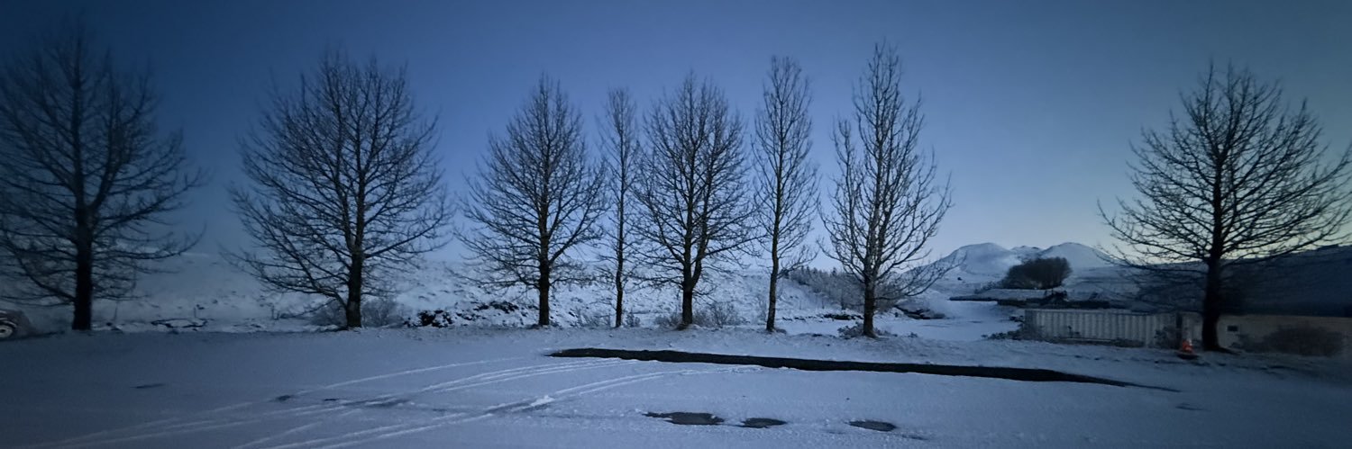 Nick O'Brien (he/him) banner