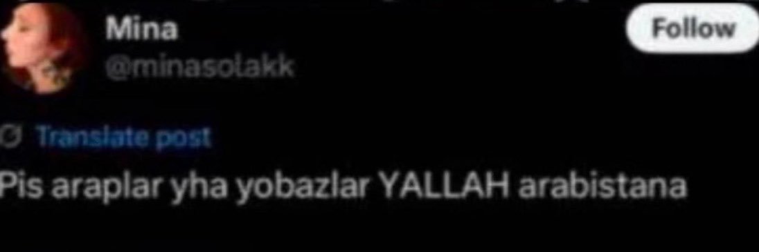 zelisyildiz's profile banner image
