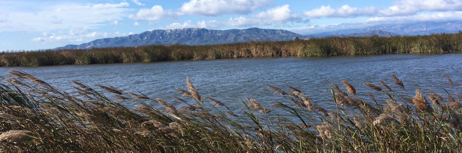 Andreu Sentí banner