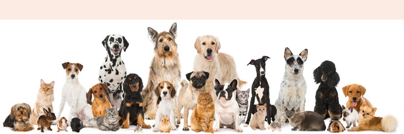larph_crea's profile banner image