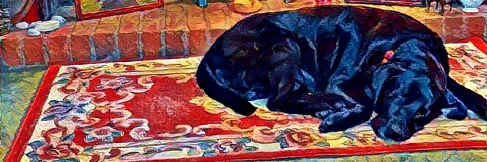 Julie -DogCast Radio banner