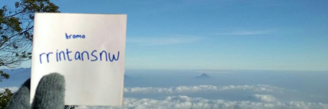 rrintansnw's profile banner image