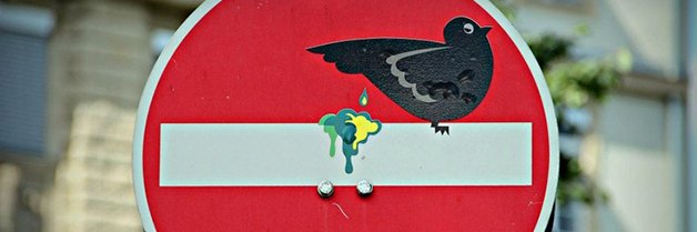 liduarte's profile banner image