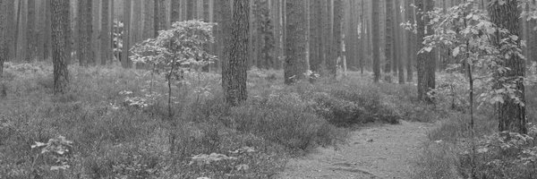 tlnue Profile Banner