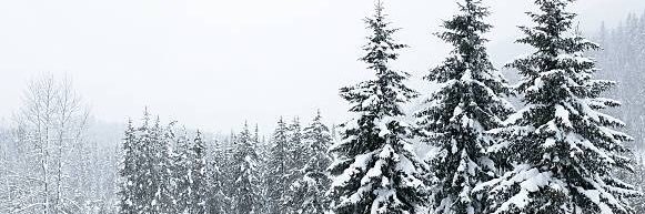 RealTatumSnow's profile banner image