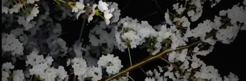 UknownnDm's profile banner image