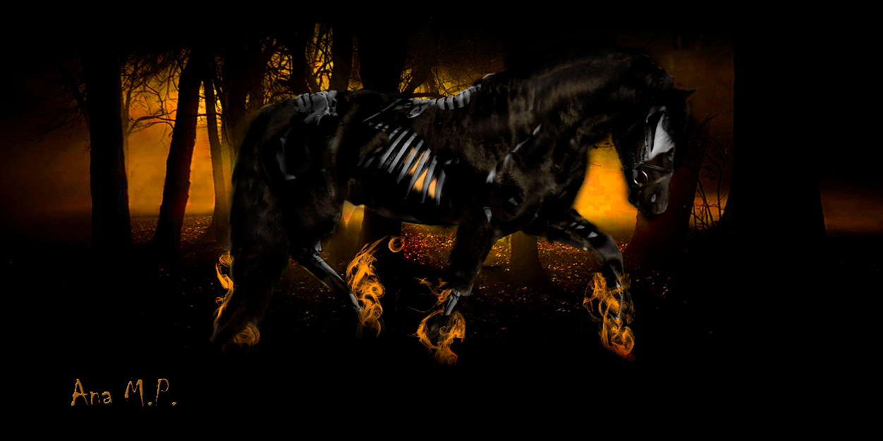 Frisana2's profile banner image