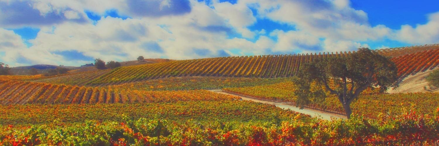 StephLaird's profile banner image