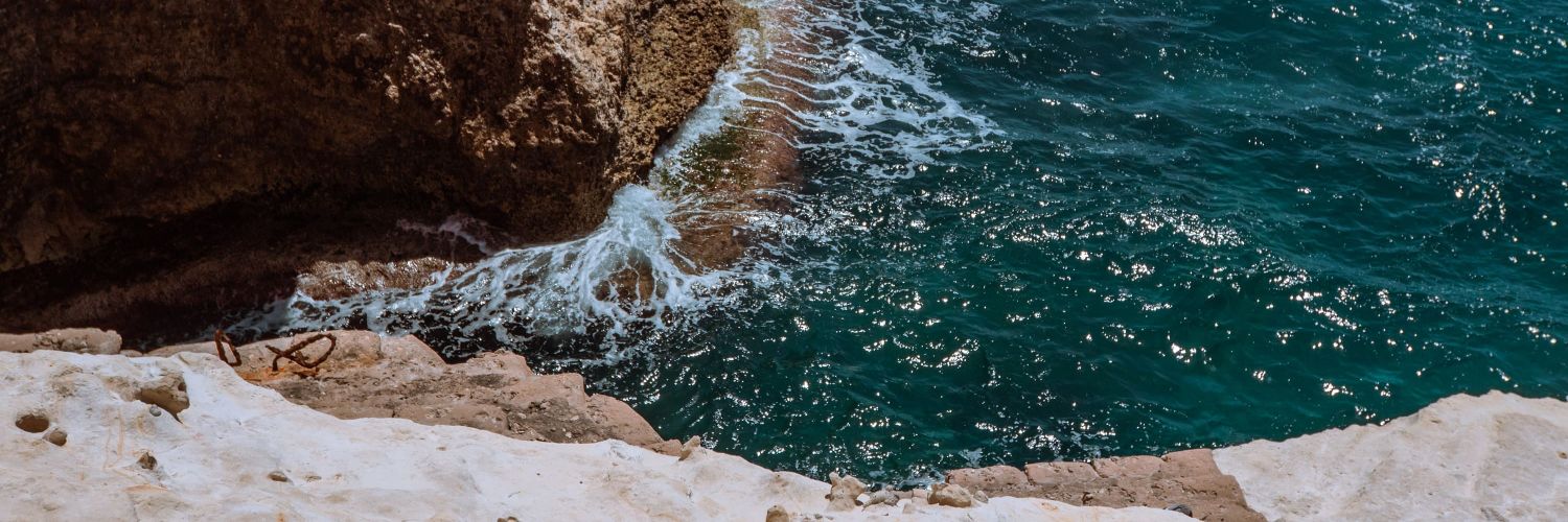 Солидный подхалимъ 𓆏 banner