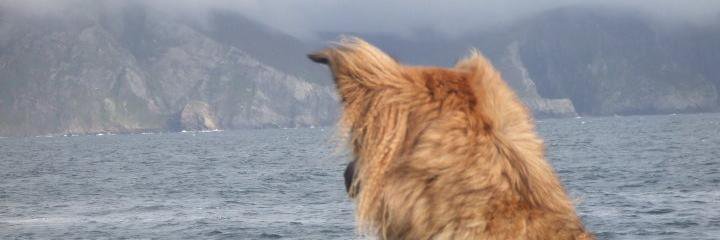 Janfleming's profile banner image