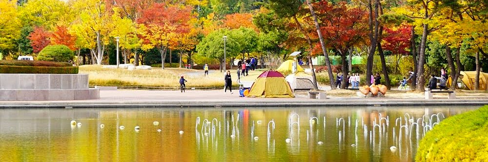 arirangkr's profile banner image