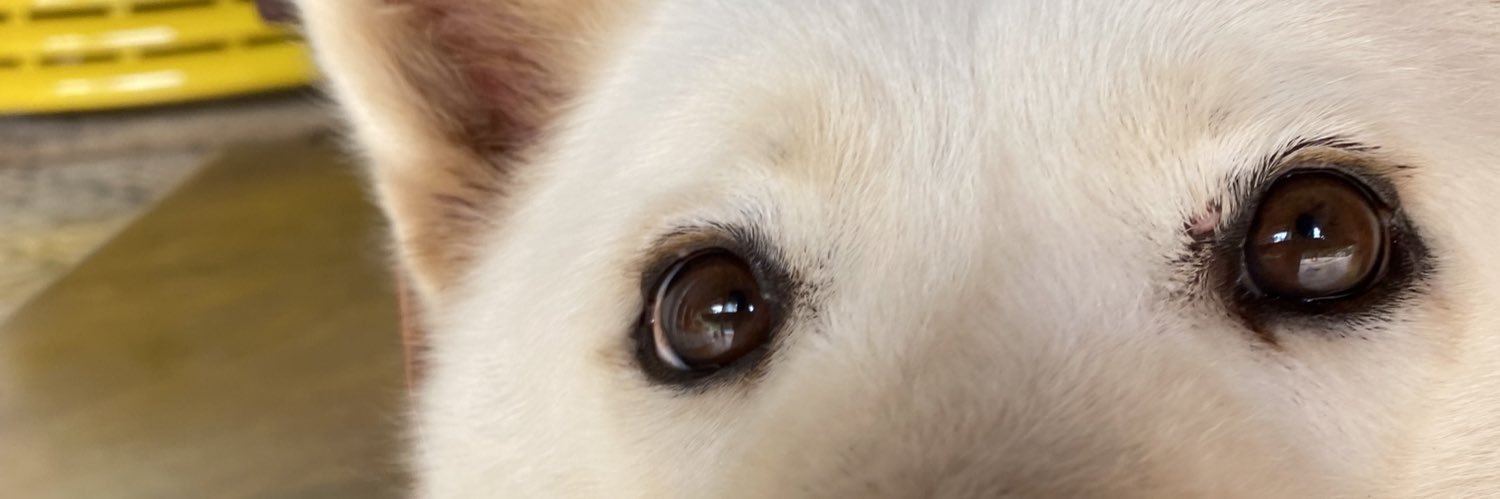 BernardoBDR's profile banner image