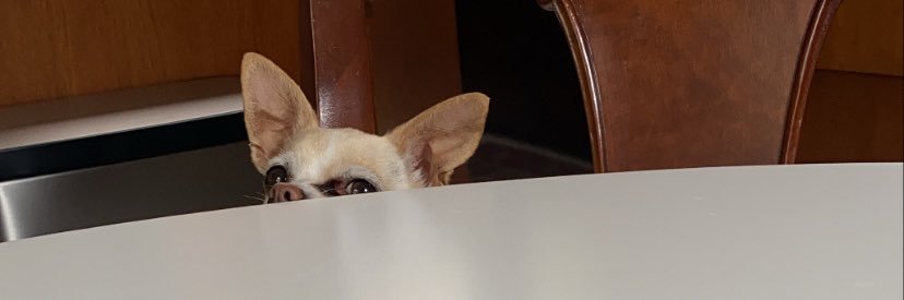 theDalyProphet's profile banner image